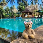Teddy's tägliche Abenteuer 🐻 - @kleiner_teddy_mit_grossem_herz - Instagram