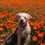 Teddy Hamilton - @touringalaskawithteddy - Instagram