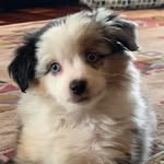 Theodore “Teddy” Harmon - @theodore.harmon - Instagram