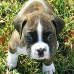 Kobi Angry-Teddy Harper - @kobiharper2133 - Instagram