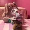 Stuff Animals - @lulu.teddy.harper - TikTok