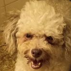 Teddy Harrell  - Facebook