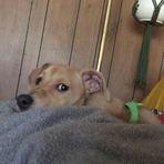 Teddy Harrell - Facebook