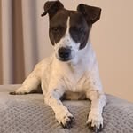 Teddy Hatton - @teddy_htn - Instagram