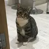 teddyhatton - @teddyhat - TikTok