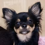 Teddy Bear Hayes - @teddyb_pdr - Instagram