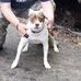 Teddy Hayes - Facebook