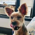 Teddy Hayes - @adventurous_teddy08 - Instagram
