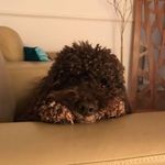 Teddy Heath - @teddyheath2021 - Instagram