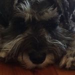 Teddy Henderson - @teddy_bear1782 - Instagram