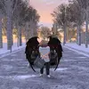 Teddy_Hennessy - @teddy_hennessy - TikTok