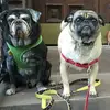 Teddyhenry21 - @teddyhenry21 - TikTok