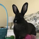 Teddy Hess - @teddygrahamhess - Instagram