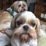 teddy hessling - @teddyhessling - Instagram