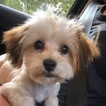 Teddy - @teddy_hessler_ - Instagram