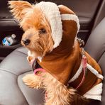 Teddy Higgins - Facebook