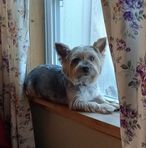 Teddy Hogan - Facebook