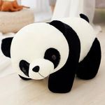 Teddy House - @teddyhouse03 - Instagram