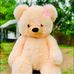 Teddy House - Facebook