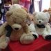 Teddy House - Facebook
