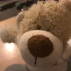 Teddy house - @_10_shakyrah - TikTok