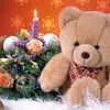 teddy house giriulla - @giriulla - TikTok