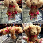 TVH - @teddy_house_ - Instagram