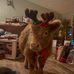 Teddy Howard - Facebook