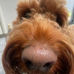 teddy 🧸 - @teddy._.howell - Instagram