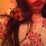 Teddy Hamster Howe - @teddy_hamster123 - Instagram