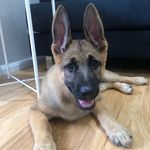 Teddy-Lyn Howe - @teddylynhowe - Instagram