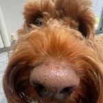 teddy 🧸 - @teddy._.howell - Instagram