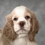 𝐓 𝐄 𝐃 𝐃 𝐘 - @_teddy_lucas_huffman_ - Instagram