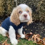 Teddy Huffman - @teddy.huffman2022 - Instagram