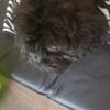 user6066100219056 - @teddy16hull - TikTok