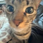 Teddy Dewhurst - @teddydewhurst - Instagram
