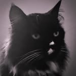 Teddyhazlehurst - @teddyhazlehurst - Instagram