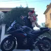 Teddy Bike - @teddybikee - TikTok