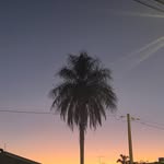 テディ - @teddy_ikegame._ - Instagram