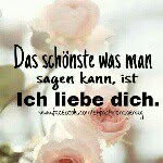 @teddy_like_ - Instagram
