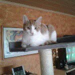 @teddy_like_fif - Instagram