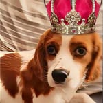 Teddy Inman - @tudman1965 - Instagram