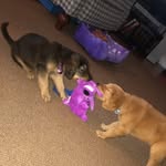 Recee and Teddy Jacobs - @ree.and.te - Instagram