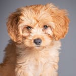Teddy Baxter Jacobs - @tales_by_teddy - Instagram
