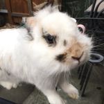 _Charlie.Teddy_Jasper - @_charlie.teddy_jasper - Instagram