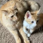 Jasper and Teddy - @jasper.and.teddy - Instagram