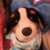 JASPER - @jasperteddydog - TikTok