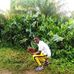 Tata Jasper - Facebook