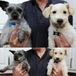 Teddy and Jasper - @teddy_and_jasper - Instagram