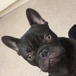 Teddy Jasper Irwin - @teddyirwin6 - Instagram